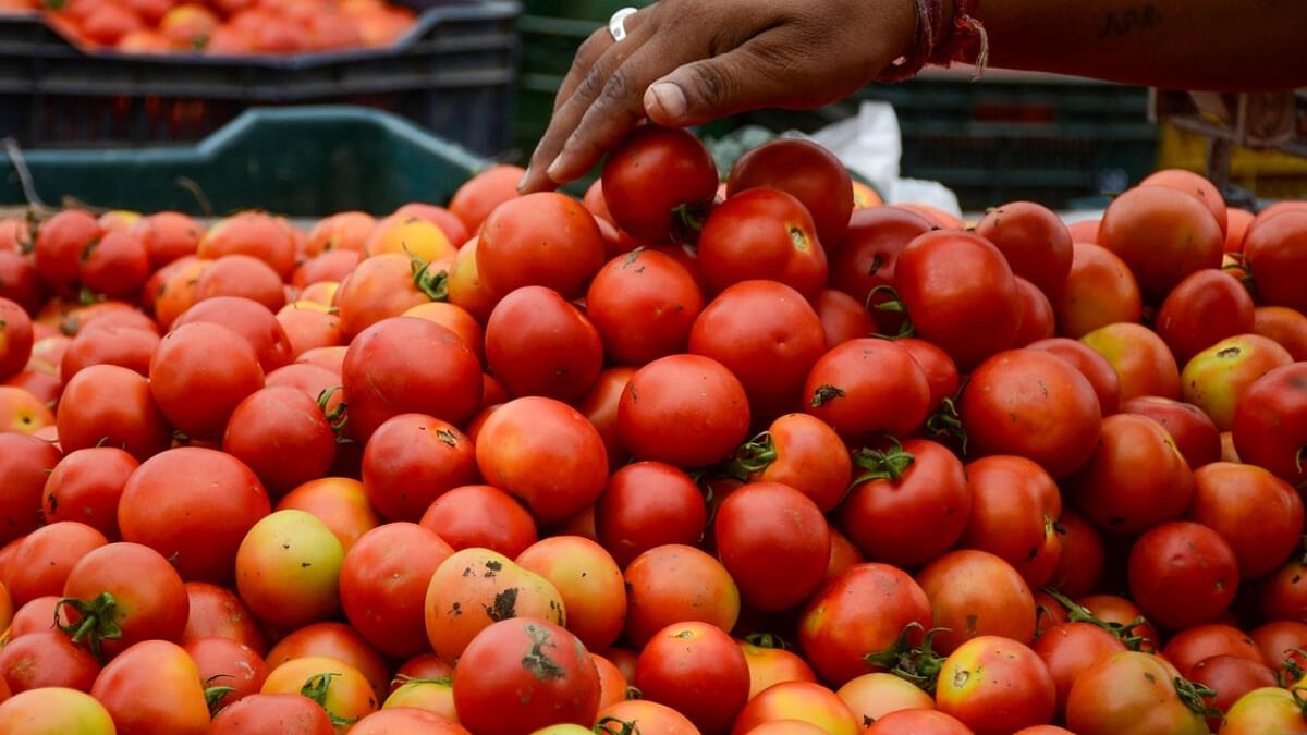 Centre directs Nafed, NCCF to procure tomato from Andhra Pradesh, Karnataka, Maharashtra for distribution