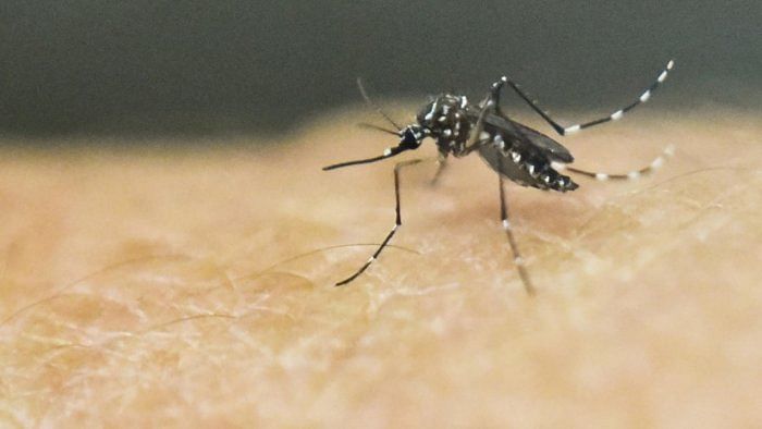 163 dengue cases, 54 malaria cases reported in Delhi from January 1-July 15: MCD report