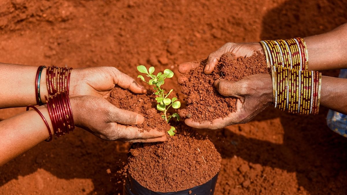 Carbon sequestration, climate change and the challenge of degraded soils
