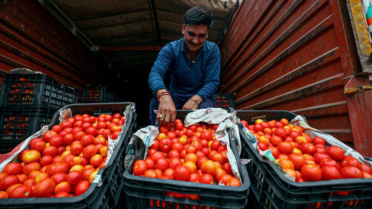Centre cuts price of subsidised tomato to Rs 70 per kg