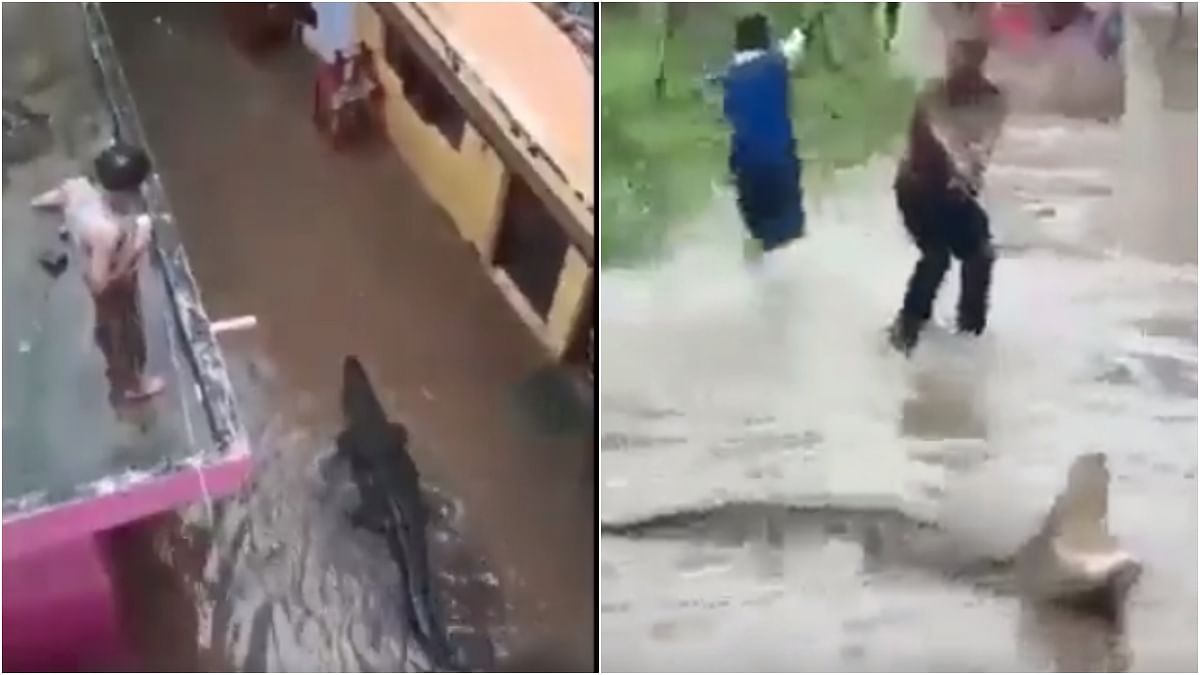 As Ganga swells, Crocodiles enter residential areas in Haridwar