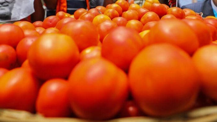 Tomato price shock hits Indian restaurants, cheaper puree sales boom