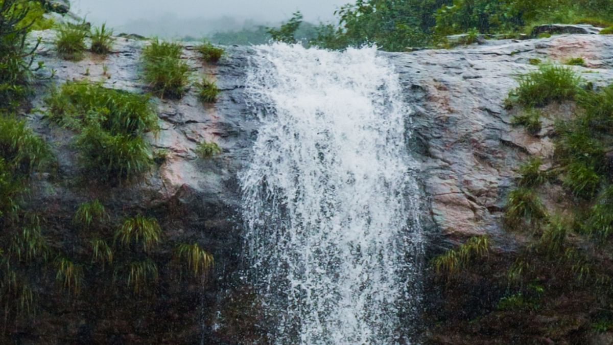 Over 160 tourists rescued from Telangana waterfall amid rains