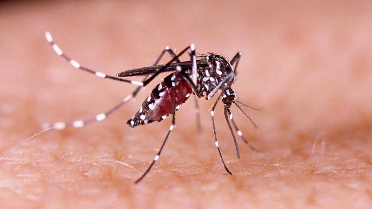 Genome sequencing of 20 dengue-positive samples done, 19 had severe strain type-2: Delhi minister