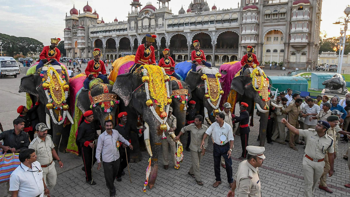 Mysore Dasara Festival. 