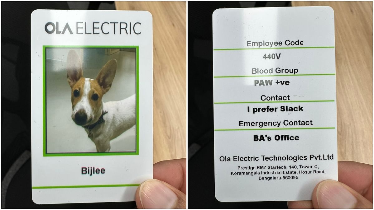 Meet Ola Electric's latest employee: A dog named Bijlee