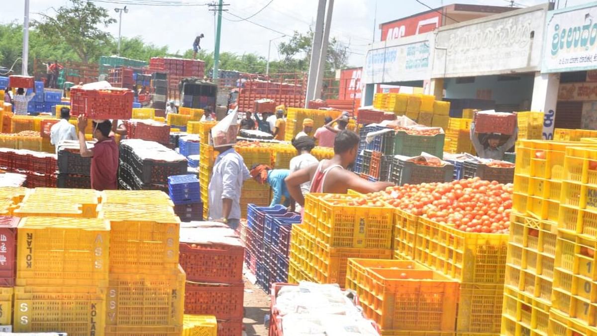 Pricey tomatoes: Kolar APMC makes hay, collects Rs 1.24 crore cess for July