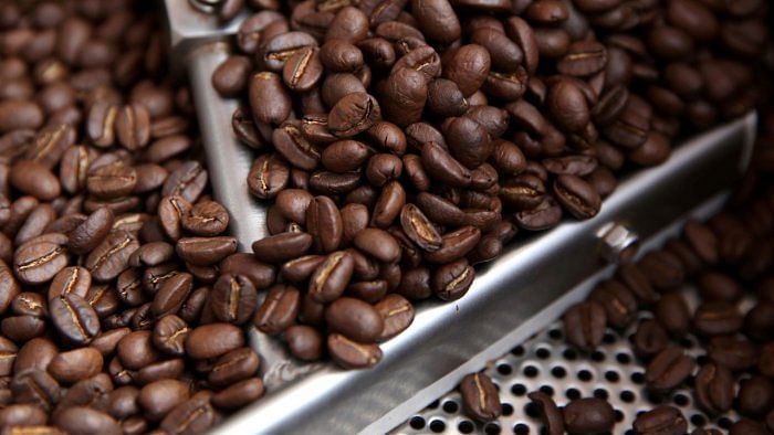 Costa Rica coffee exports fall 33% in July to 5-year low
