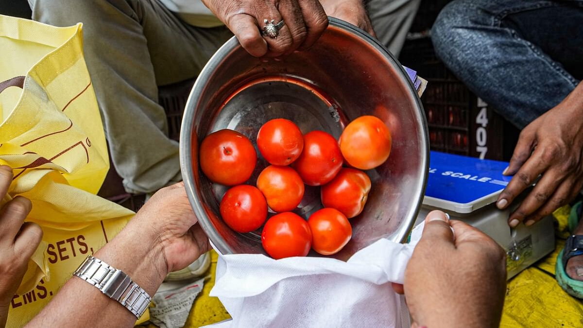 Delhi: Tomato prices spike again on tight supply; Mother Dairy stores selling at Rs 259/kg