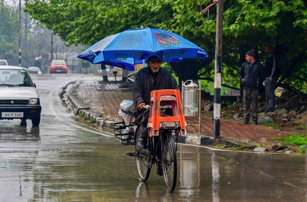 An elderly man, holding a garden umbrella, pedals his bycicle as it rains in Srinagar on Tuesday. Higher reaches of Kashmir Valley received fresh snowfall while the plains were lashed with rains. PTI Photo