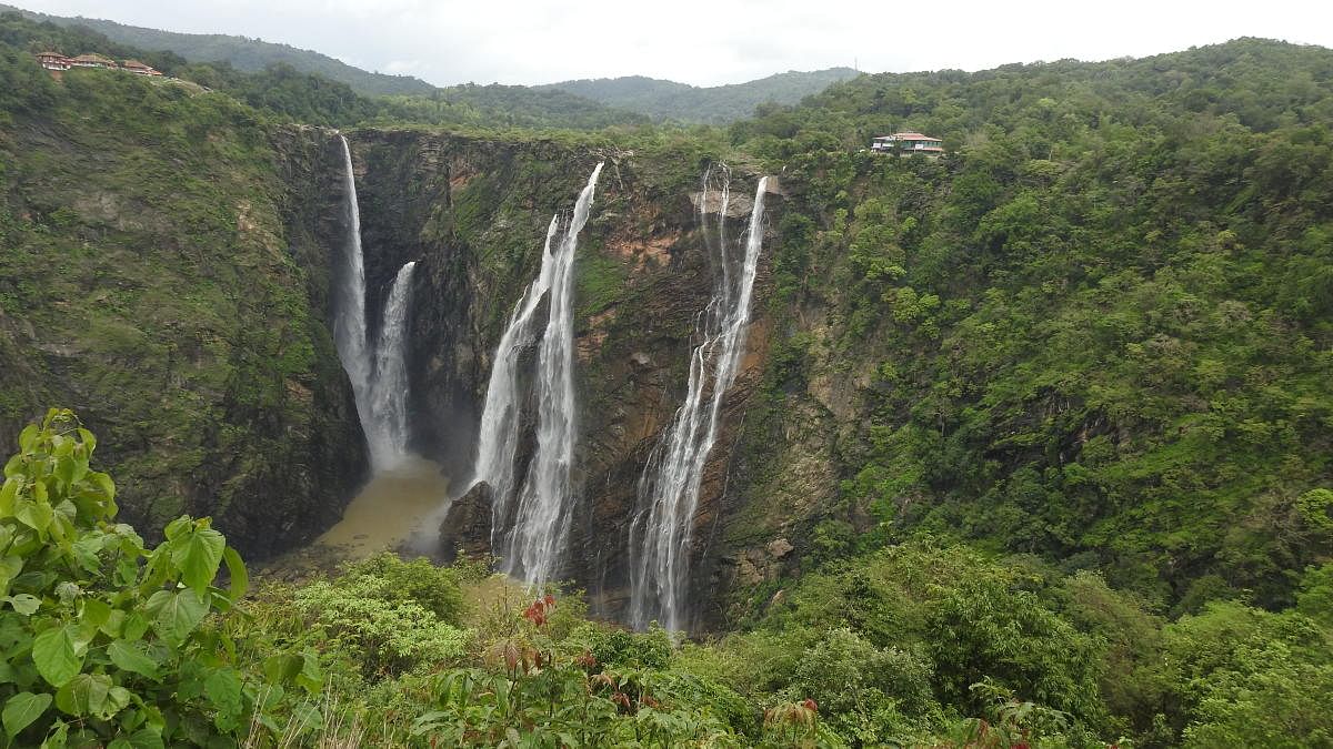 World famous Jog falls. dh photos/Anitha pailoor