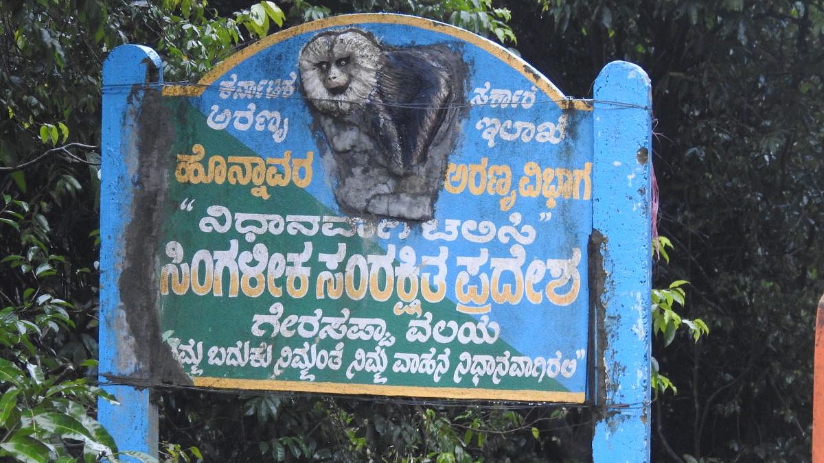 A board mentioning the area as Sharavathi Valley Lion-tailed Macaque Sanctuary. DH photos/Anitha pailoor