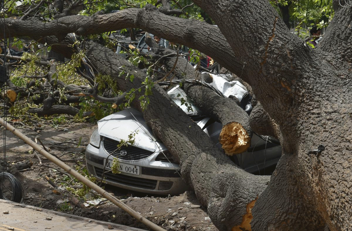 A huge tree lies on a car parked after a dust storm last night, at Minto Road in New Delhi, on Wednesday. PTI Photo