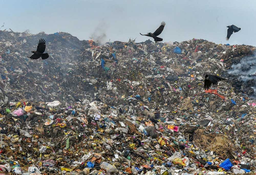 Crows fly over the pile of garbage in Mumbai on Monday, June 04, 2018. PTI Photo