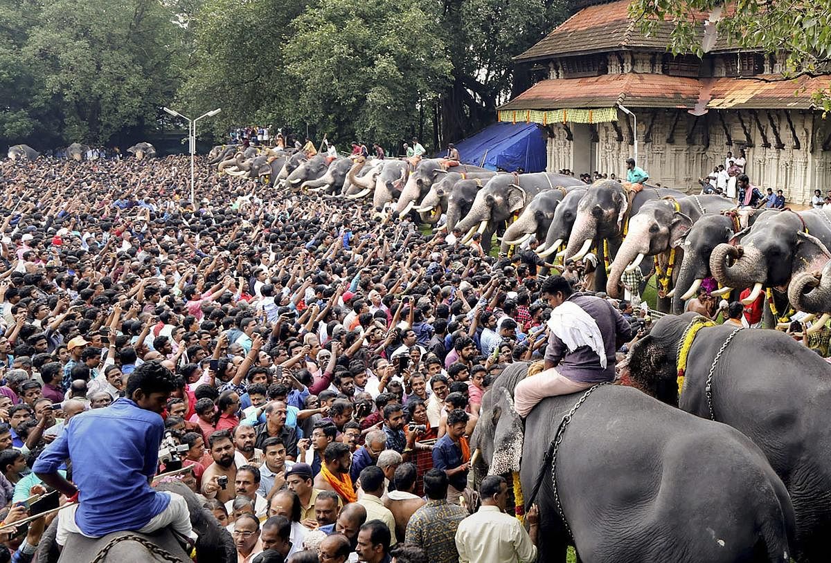 People feed elephants at the Vadakkunnathan Temple during the beginning of the Malayalam month of Karkkidakam, in Thrissur, Kerala on Tuesday, July 17, 2018. (PTI Photo)