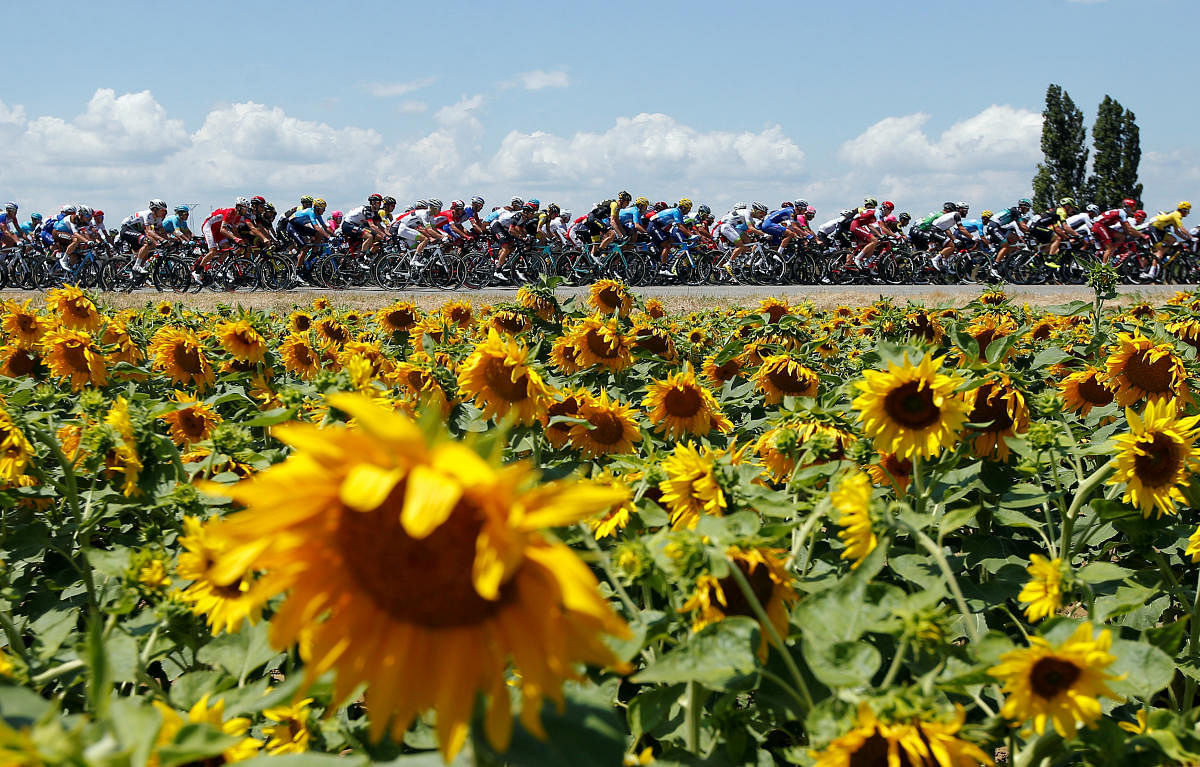 The peloton in action during stage 14 of the Tour de France. (Reuters Photo)
