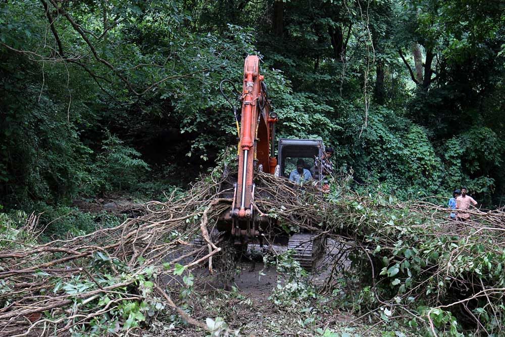 A Public Works Department (PWD) machine removes collapsed trees from a damaged road after floods at Nelliyampathy Village, Kerala. Reuters Photo