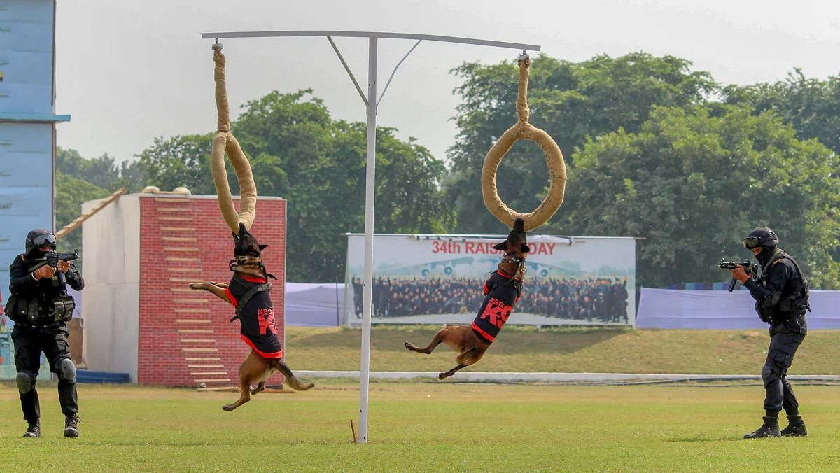 NSG Commandos display their skills to counter terror attacks during their 34th Raising Day function on the NSG Campus, in Manesar near Gurugram. PTI