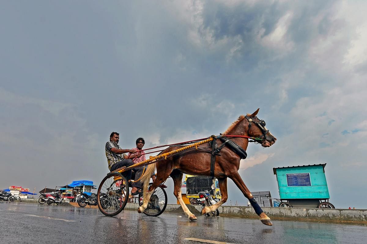 People ride a horsecart after rainfall in several parts of the city, near Marina beach in Chennai. PTI