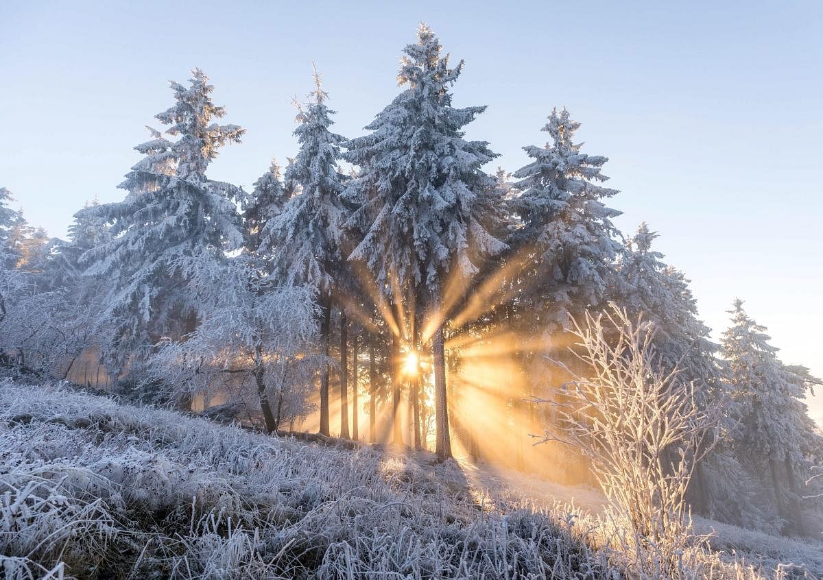 Schmitten : dpatop - 22 November 2018, Schmitten: The setting sun shines through trees covered with hoarfrost on the Grosser Feldberg. Photo: Jan Eifert/dpaPTI /Photo