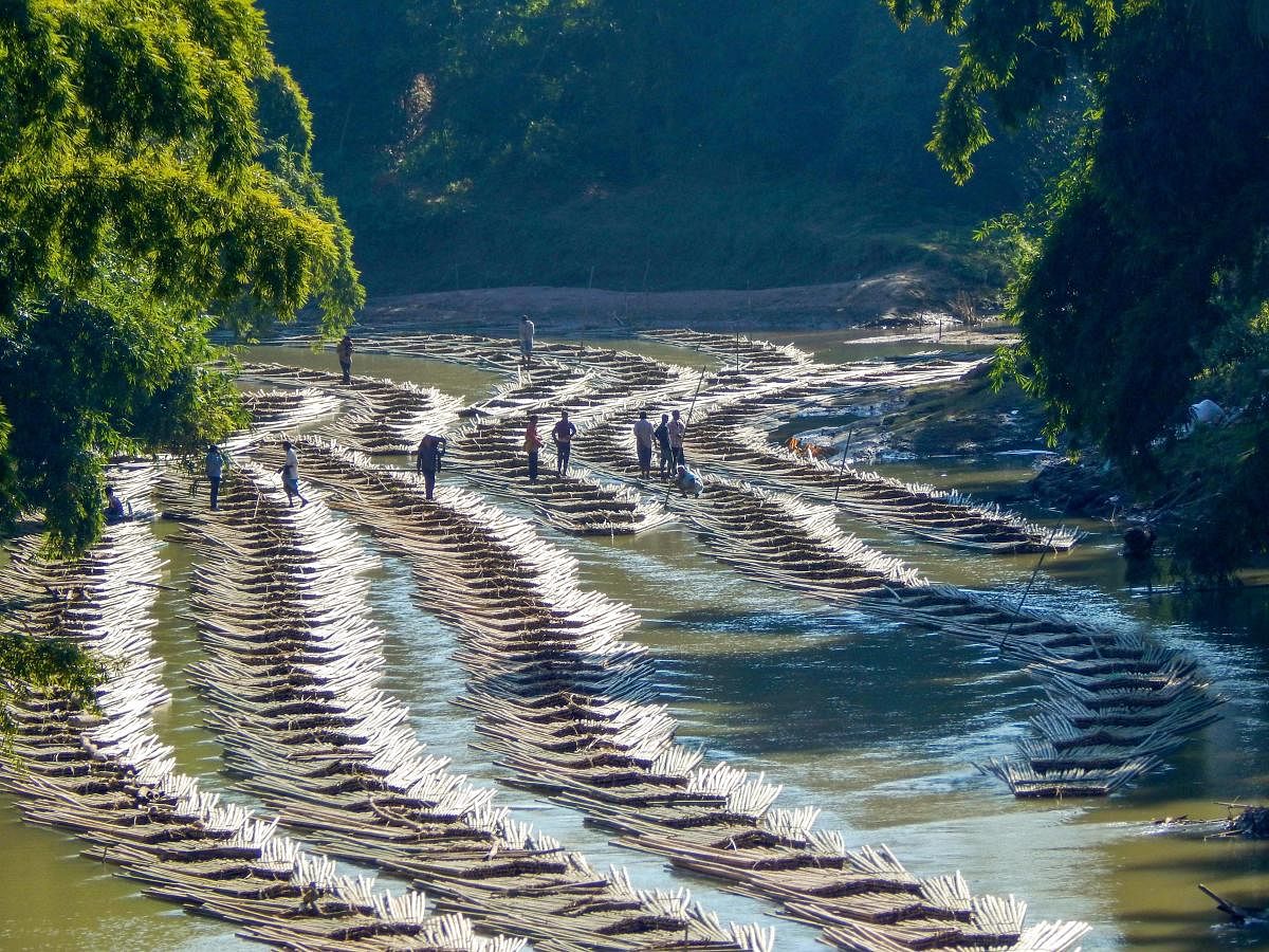 Kanhmun: Workers transport bamboo logs in Longai river near Tripura-Mizoram border, in Kanhmun, Tuesday, Nov. 27, 2018. (PTI Photo)