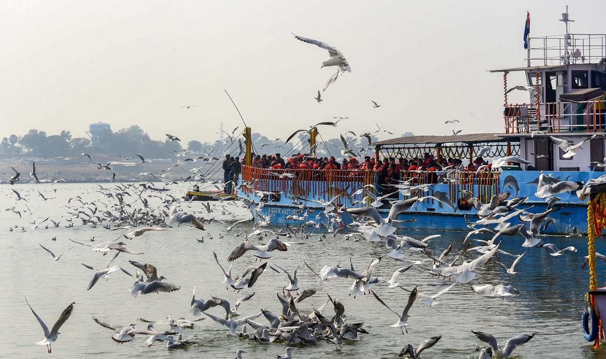 Gulls fly above River Ganga in Allahabad, Saturday. PTI photo