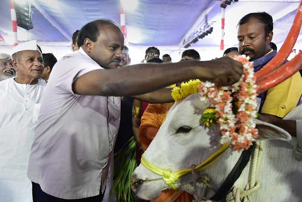 Chief Minister H D Kumaraswamy garlands a bull during inauguration of the Bharatiya Samsruthi Utsav at Kaggod in Vijayapura district of Karnataka. PTI Photo