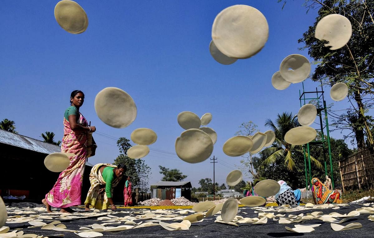 Workers spread 'papad', a disc-shaped food made from seasoned dough, to sun-dry, in Agartala, Monday, Jan 7, 2019. (PTI Photo)