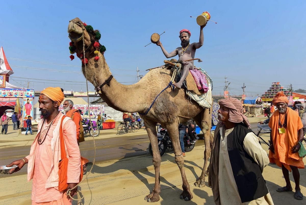 A Naga sadhu rides camel during the ongoing Kumbh Mela-2019, in Allahabad. (PTI Photo)