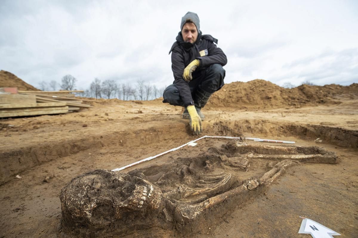 Archeologist Scott Tucker watches a 6500 year old skeleton in Kitzingen, Germany. The man from the Stone Age with the nickname 'Fred' was found during construction works when a wine-grower wanted to extend his winery. AP/PTI