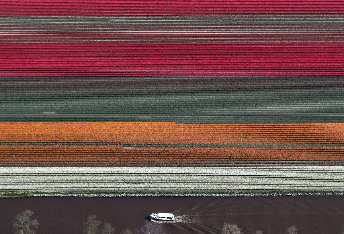 An aerial view of tulip fields near the city of Creil, Netherlands April 18, 2019. Picture taken April 18, 2019. REUTERS/Yves Herman?