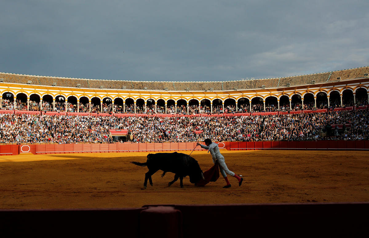 Peruvian matador Roca Rey drives his sword into a bull to kill it during a bullfight at The Maestranza bullring in the Andalusian capital of Seville, Spain April 21, 2019. REUTERS/Marcelo del Pozo