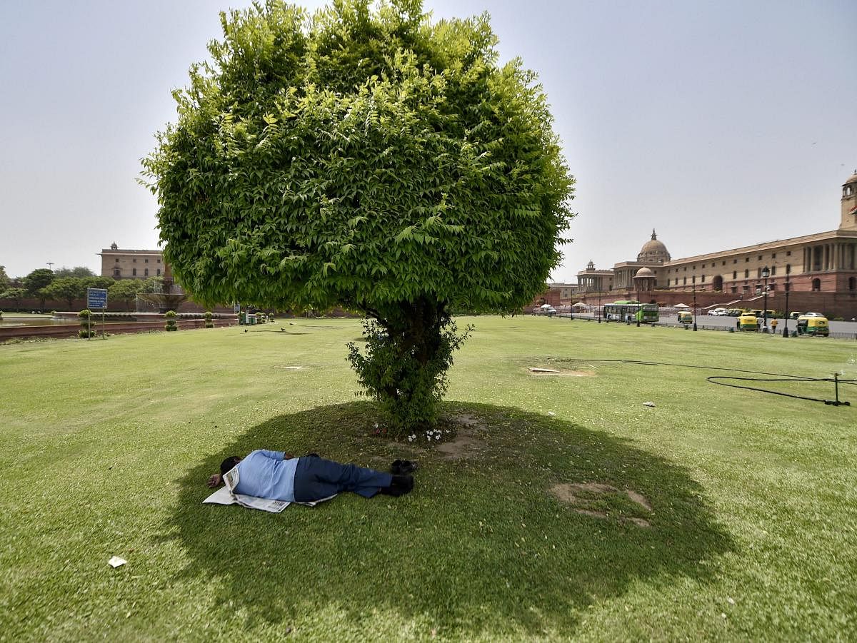A man sleeps under the shade of a tree on a hot summer day at Vijay Chowk, in New Delhi. (PTI Photo)