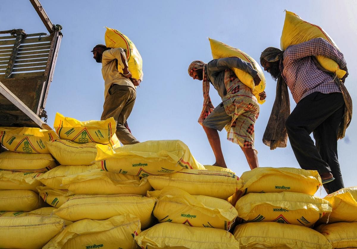 Workers load fertilizer bags on a truck, on the eve of Labour Day also known as May Day, in Amritsar. (PTI Photo)