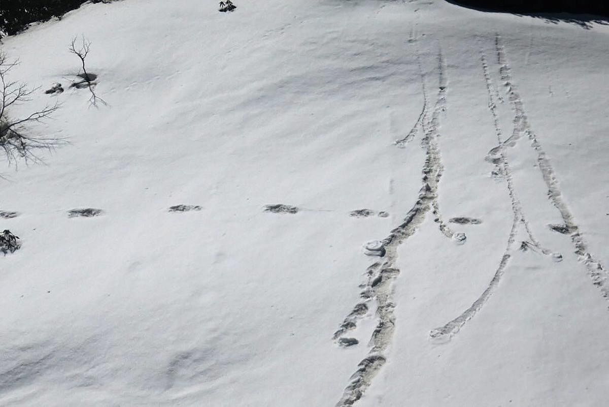 Footprints, claimed by the Indian Army in its twitter account to be of the