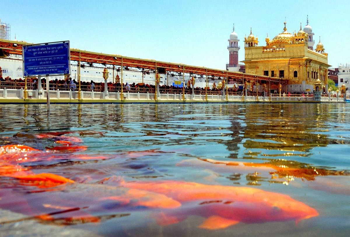 Sikh devotees pay obeisance at the Golden Temple on the occasion of 'Gurta Gaddi Diwas' of Guru Hargobind Ji, the sixth Sikh Guru, in Amritsar. PTI Photo