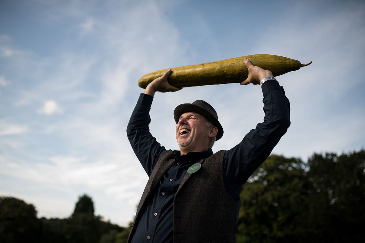 Grower Graham Barratt holds aloft his 92cm-long cucumber which won first prize in the longest cucumber category of the giant vegetable competition, on the first day of the Harrogate Autumn Flower Show held at the Great Yorkshi