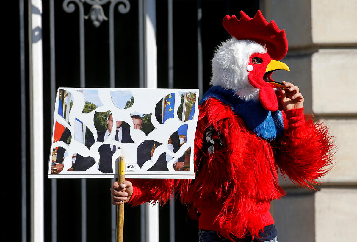 A person dressed as a rooster holds a placard during a protest urging authorities to take emergency measures against climate change, in Paris. (Reuters Photo)