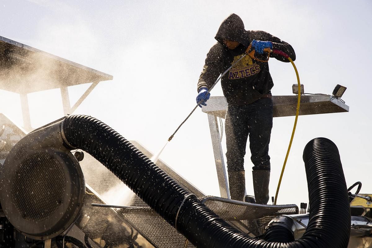 A migrant farm laborer from Fresh Harvest working with an H-2A visa hoses down a spinach harvesting machine after the night shift. (AFP Photo)