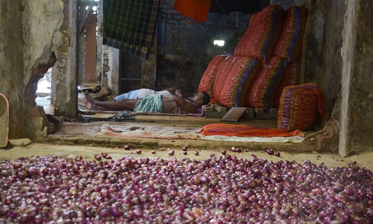 A labourer rests beside onion sacks at a market in Dibrugarh. PTI
