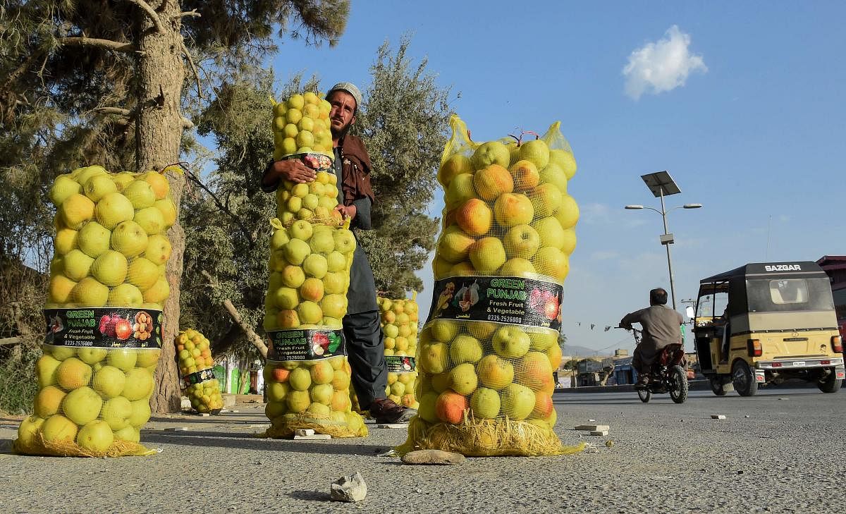 A vendor hols a net full of apples alongside a street as he waits for customers in Quetta on August 26, 2019. (Photo by BANARAS KHAN / AFP)