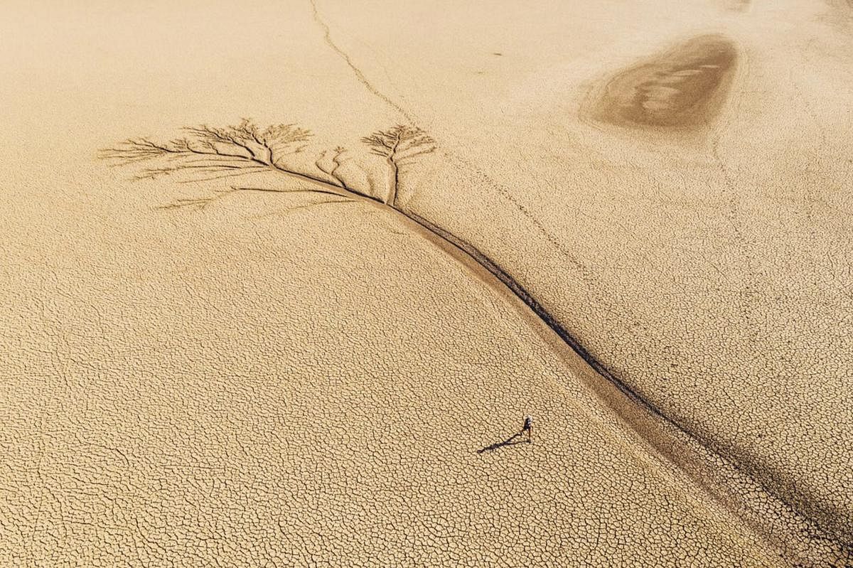In this Monday, Dec. 31, 2018 photo supplied by Flux Communications, Mina Guli, an Australian activist seeking to highlight global water shortages, makes her way across a dried up Leeu Gamka Dam, in Beaufort West, South Africa. AP/PTI