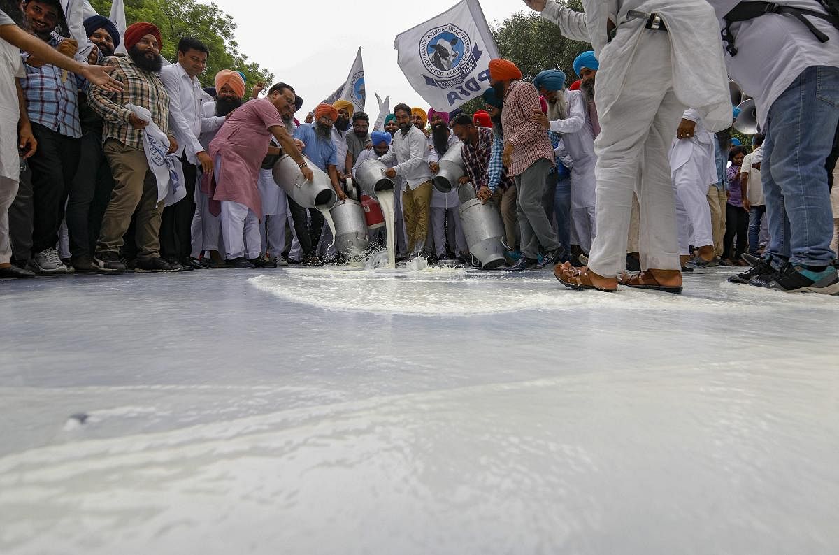 New Delhi: Members of Progressive Dairy Farmers Association pour milk on a road during a protest against the Central government for cuts in the prices of milk products, at Jantar Mantar in New Delhi on Tuesday, July 31, 2018. (PTI Photo)