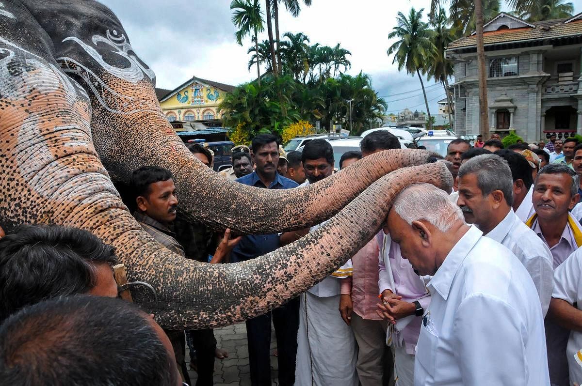 Karnataka Chief Minister BS Yediyurappa seeks blessings from elephants during his visit to Shringeri Sharadamba Temple, at Sringeri near Chikmagalur. PTI