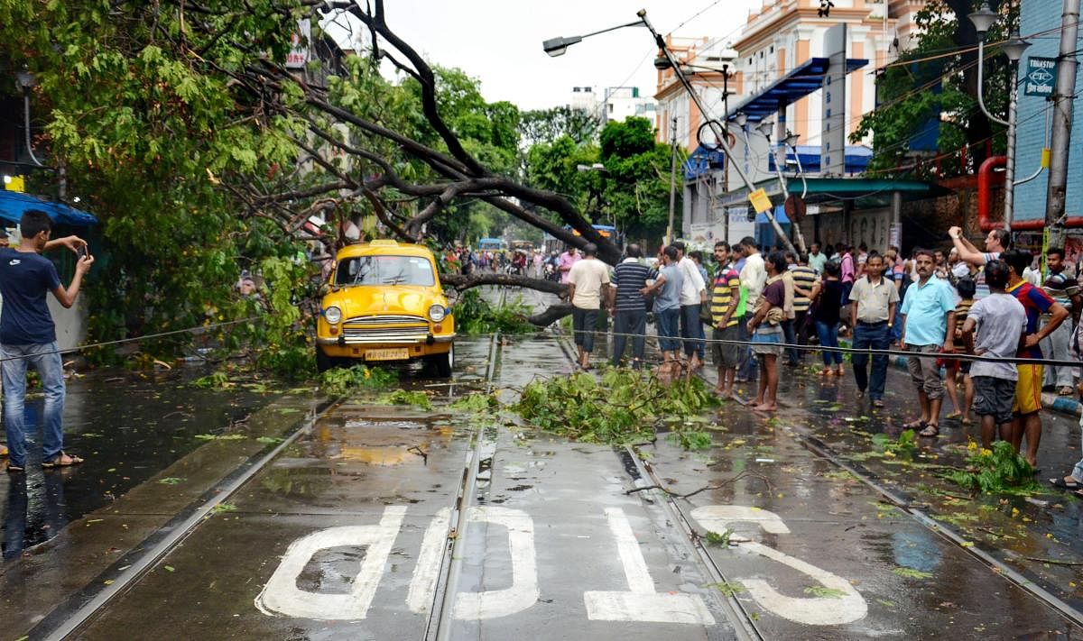 A taxi trapped under an uprooted tree after rainfall and heavy thunderstorm, in Kolkata, on Friday.