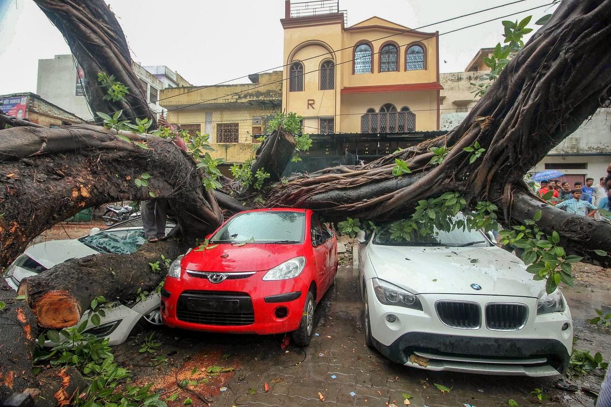 Lucknow: Vehicles get damaged after trees got uprooted following heavy monsoon rains, in Lucknow on Tuesday, July 31, 2018. (PTI Photo)