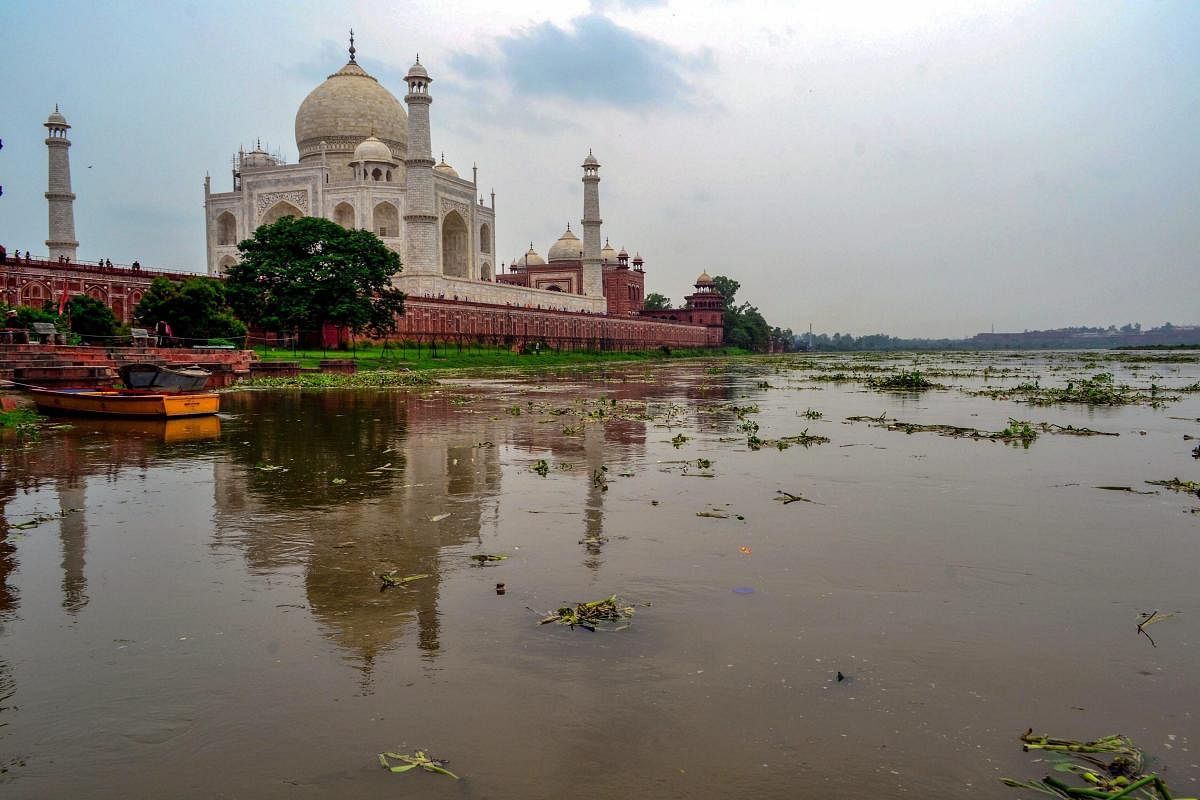 Agra: The water level of the Yamuna River rises, behind the Taj Mahal in Agra on Monday, July 30, 2018. The Centre today informed the Supreme Court that the joint secretary of the Ministry of Environment, Forest and Climate Change and the commissioner of the Agra Division are responsible for maintenance of the Taj Trapezium Zone. (PTI Photo)