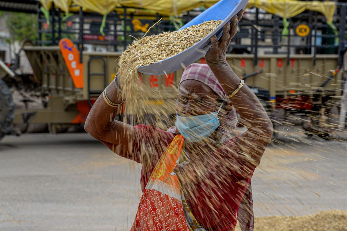 A woman wearing a mask winnows wheat grain at a market, during a government-imposed nationwide lockdown as a preventive measure against the spread of coronavirus, in Jalandhar. (PTI Photo)