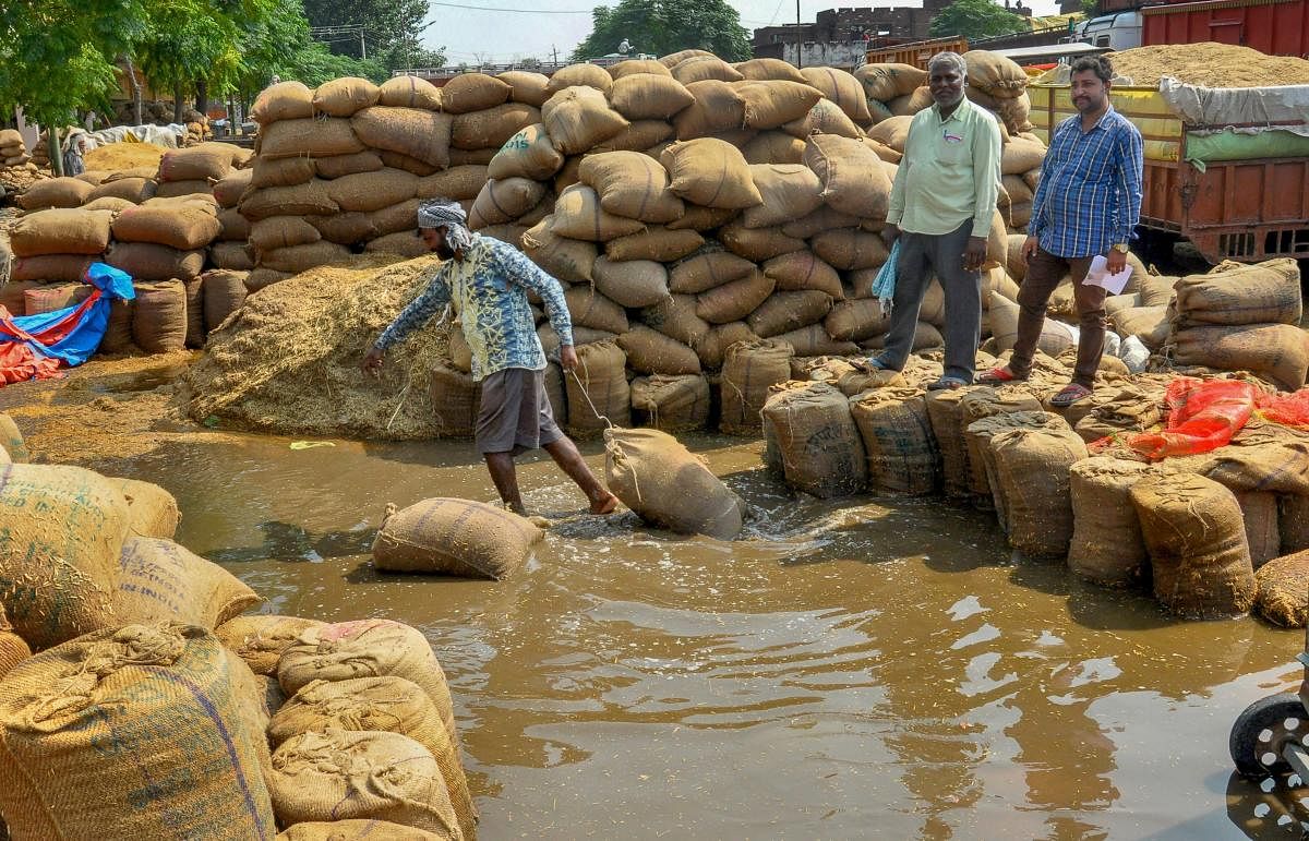 Workers move rice sacks after flooding at a grains market following heavy rains, in Amritsar.(PTI photo)