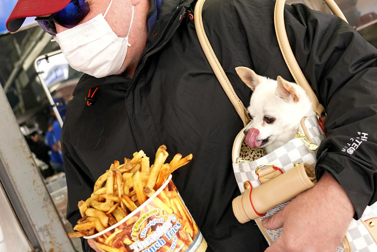 A dog named Izzy licks its chops as Craig Morland of Crofton, Maryland, buys a bucket of Thrashers famous fries on the first day of eased coronavirus disease (COVID-19) restrictions for the beach and boardwalk in Ocean City, Maryland, U.S., May 9, 2020. Credit: Reuters Photo